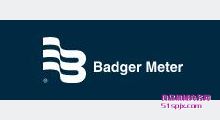 Badger Meter Ʒ
