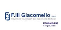 F.lli Giacomello(snc)ʽˮƽҺλ/