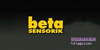 Beta Sensorik//ʽ