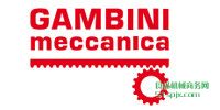Gambini Meccanica/ֱ/ֱߵ/Բγ