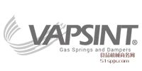 VAPSINT Ʒƽ