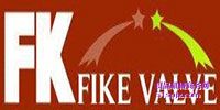 FIKE Valve Ʒƽ