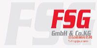 FSG GmbH Ʒƽ
