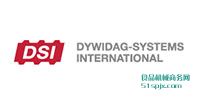 Dywidag Systems International(DSI)Բĸ/˨//еê