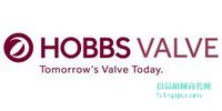 ӢHobbs Valveƫĵ/йŷ/ŷŷ