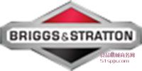 Briggs & Stratton Ʒƽ