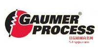 GAUMER PROCESS/