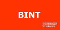 Bint/̽ͷ/ƽ̽