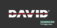 DAVID 3Dɨ