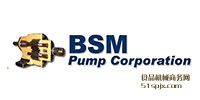 BSM Pumpֱ/ҶƬ/ı